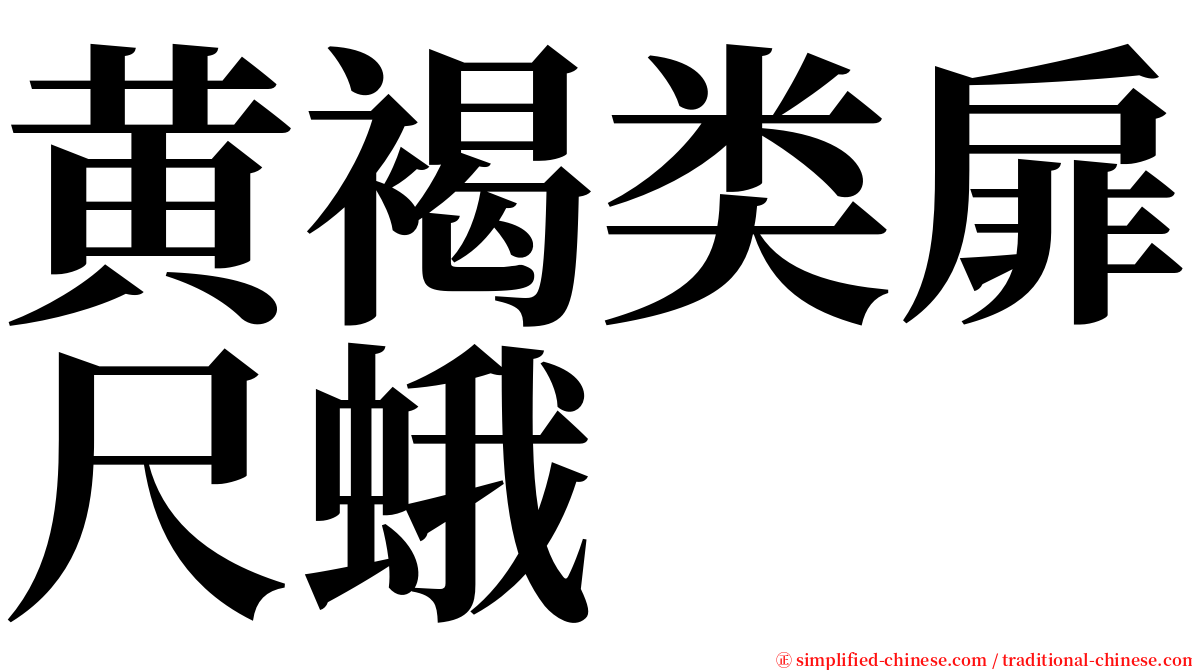黄褐类扉尺蛾 serif font