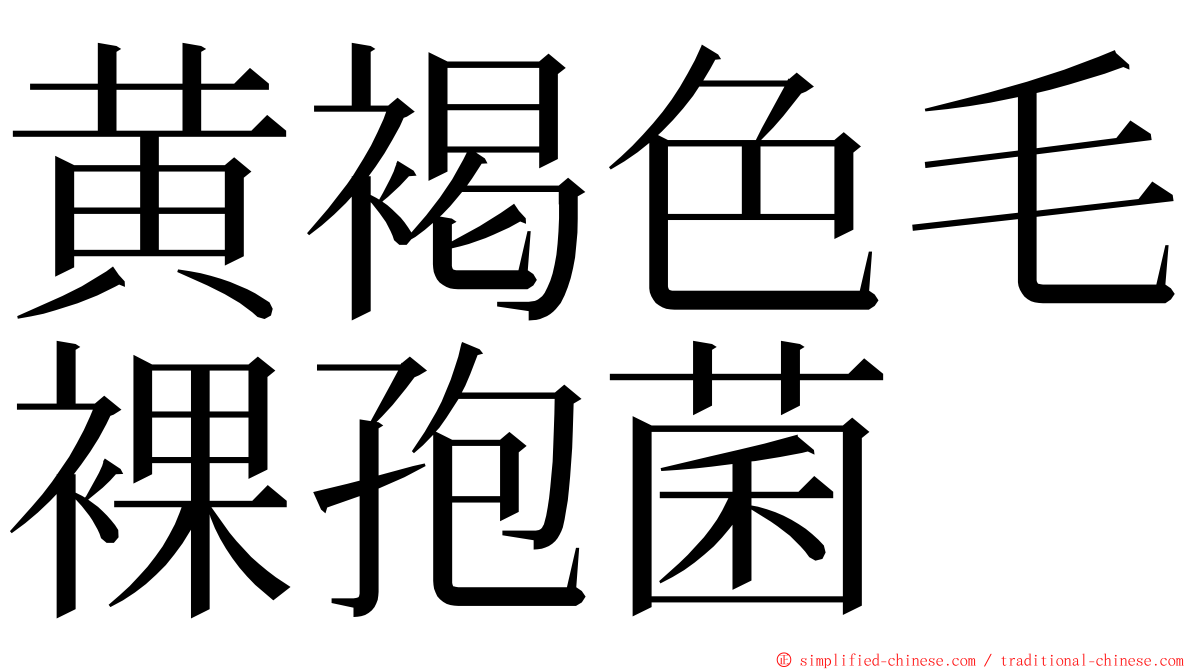黄褐色毛裸孢菌 ming font