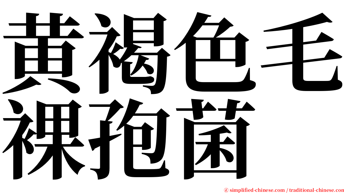 黄褐色毛裸孢菌 serif font