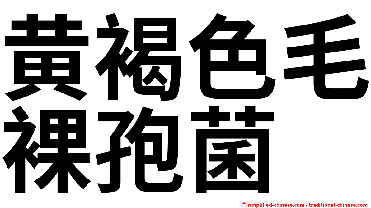 黄褐色毛裸孢菌