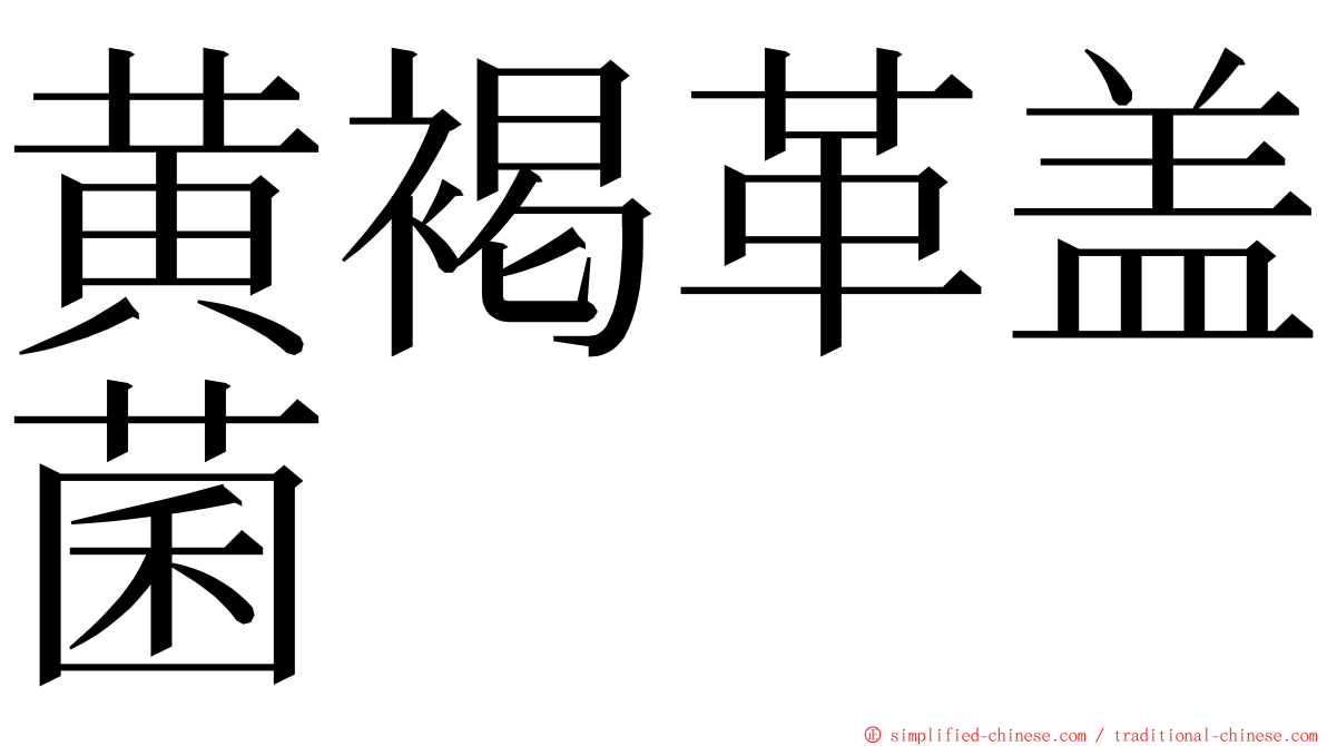 黄褐革盖菌 ming font