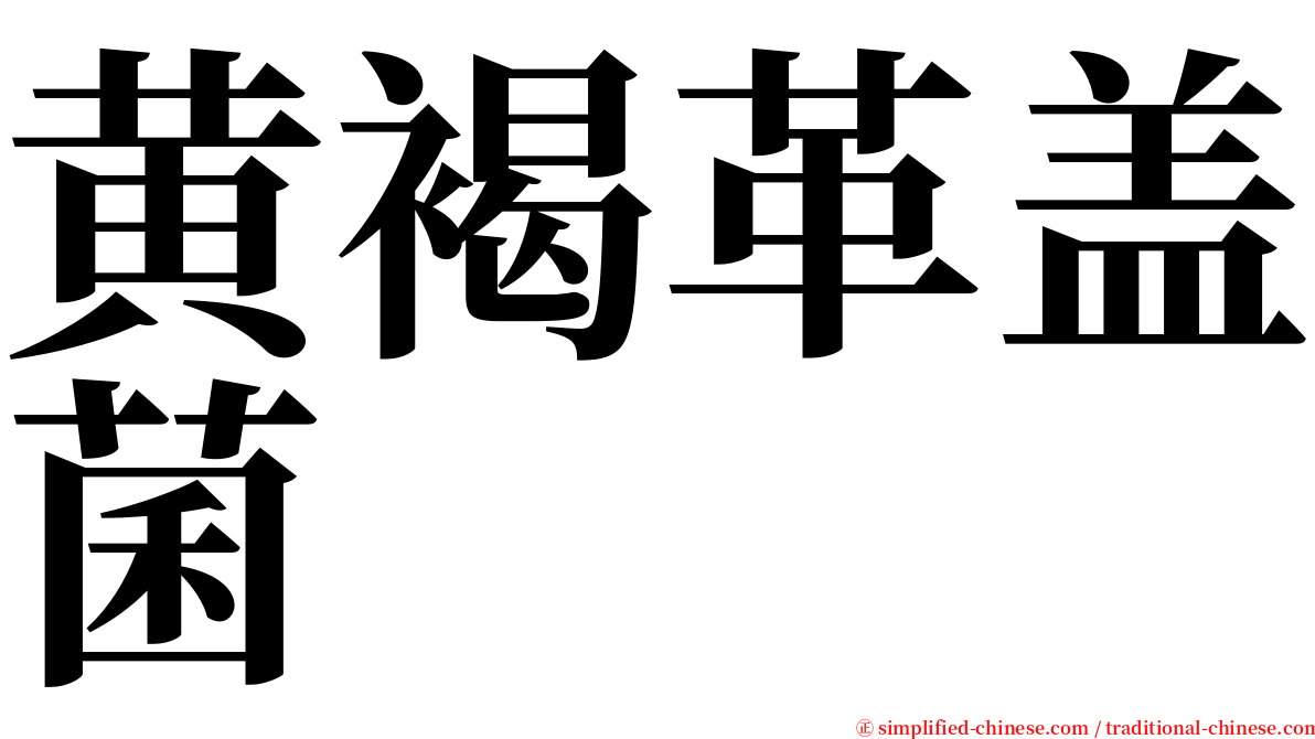 黄褐革盖菌 serif font
