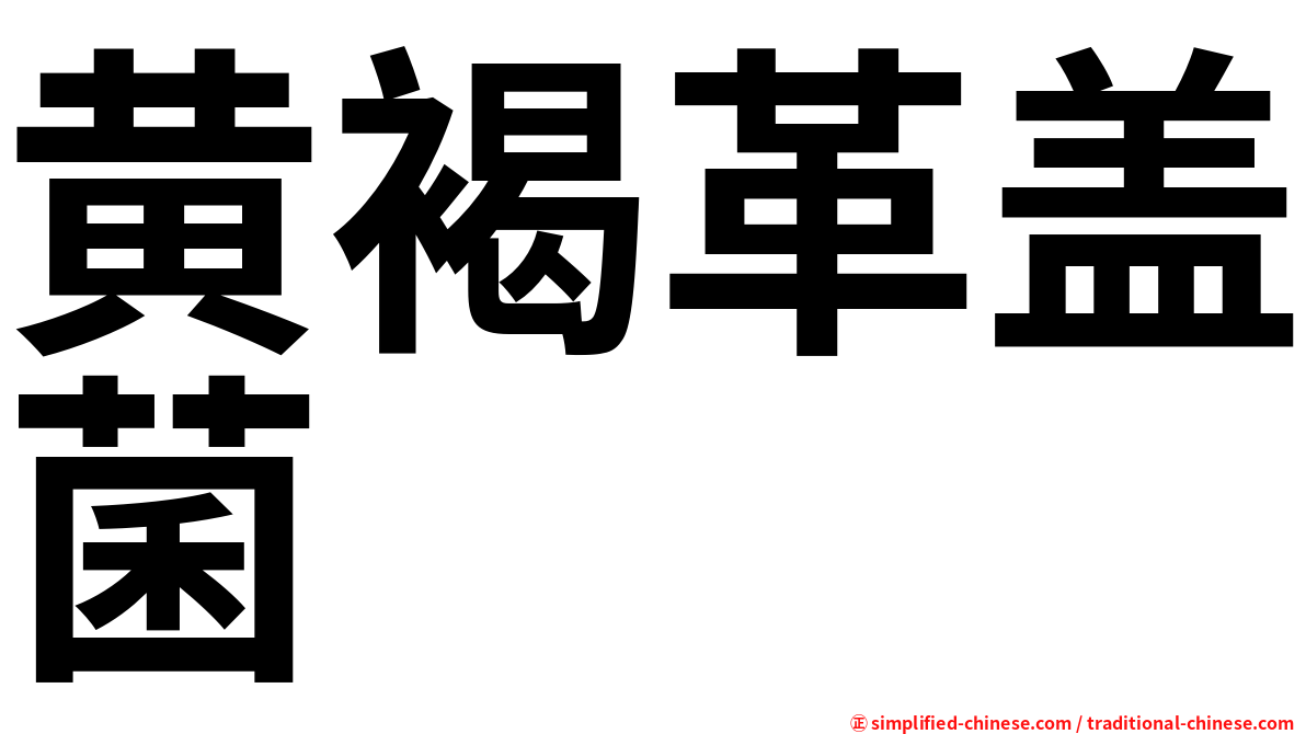 黄褐革盖菌