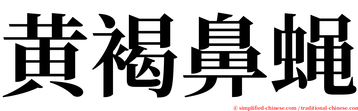 黄褐鼻蝇 serif font