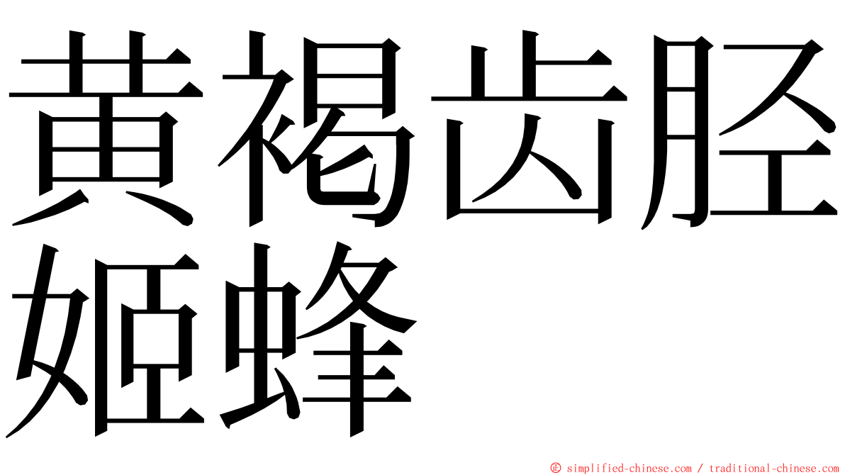 黄褐齿胫姬蜂 ming font