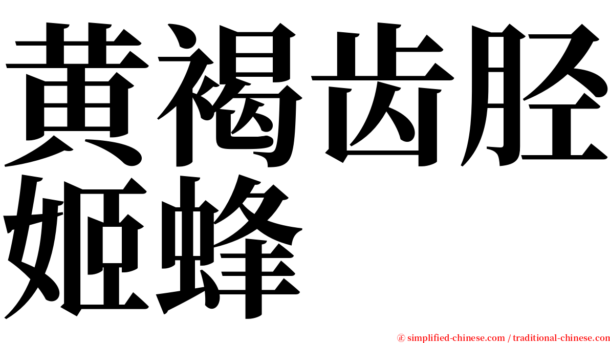 黄褐齿胫姬蜂 serif font