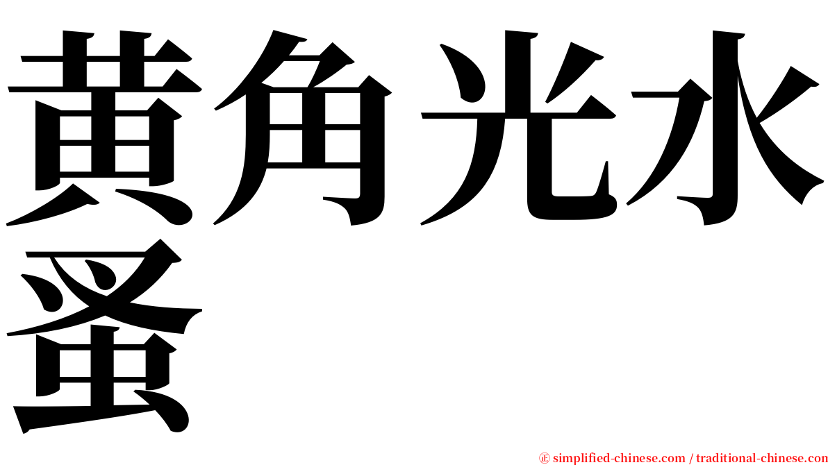 黄角光水蚤 serif font