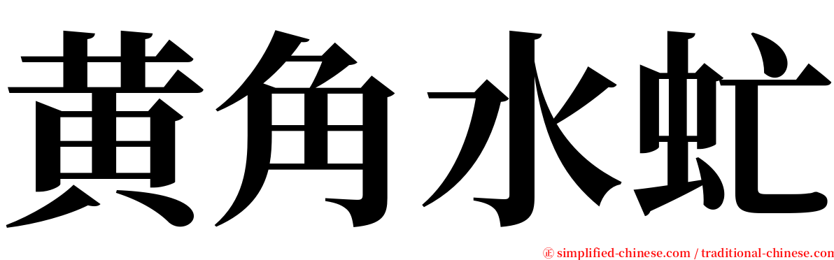 黄角水虻 serif font