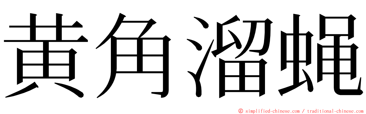 黄角溜蝇 ming font