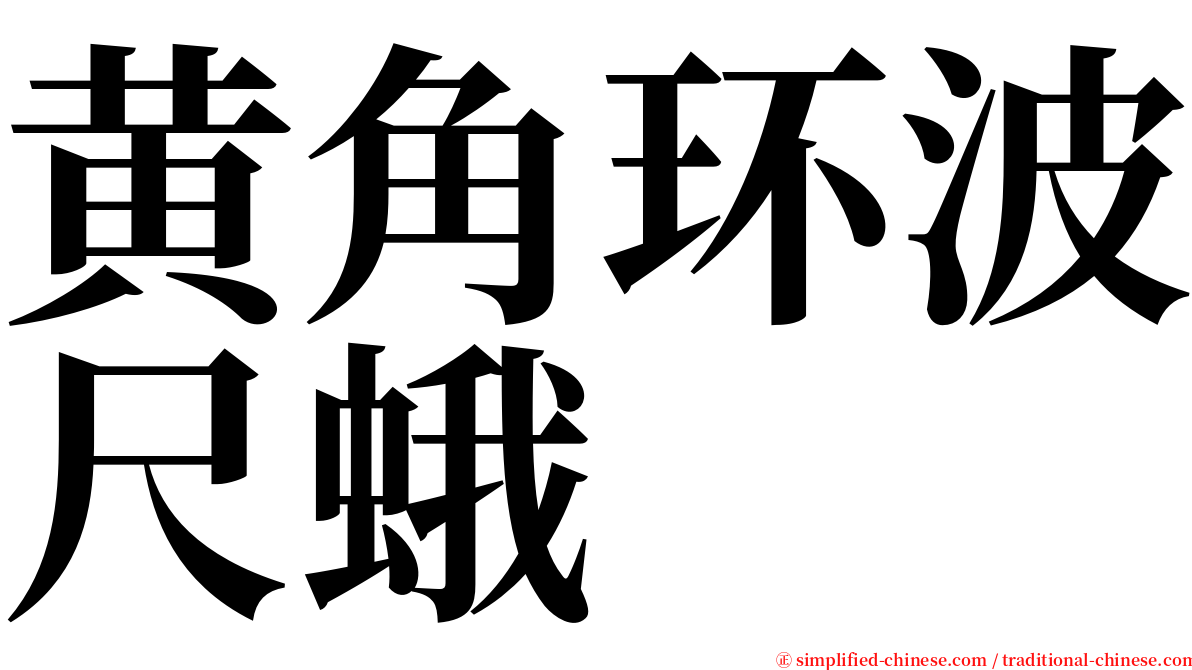 黄角环波尺蛾 serif font