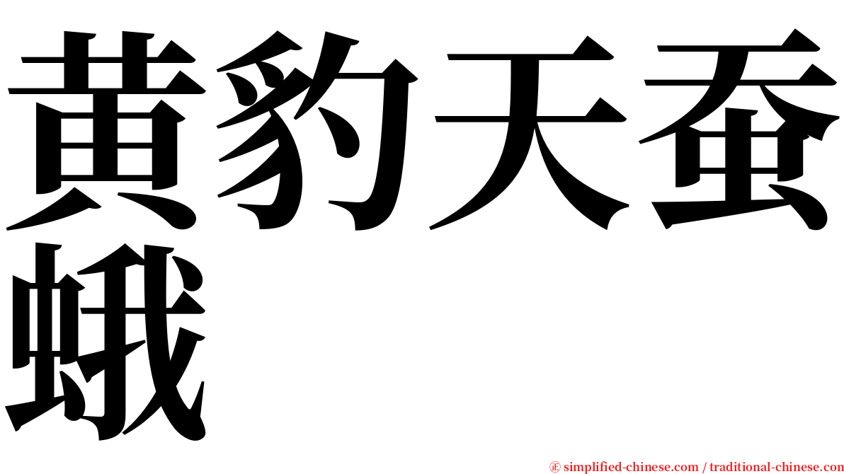 黄豹天蚕蛾 serif font