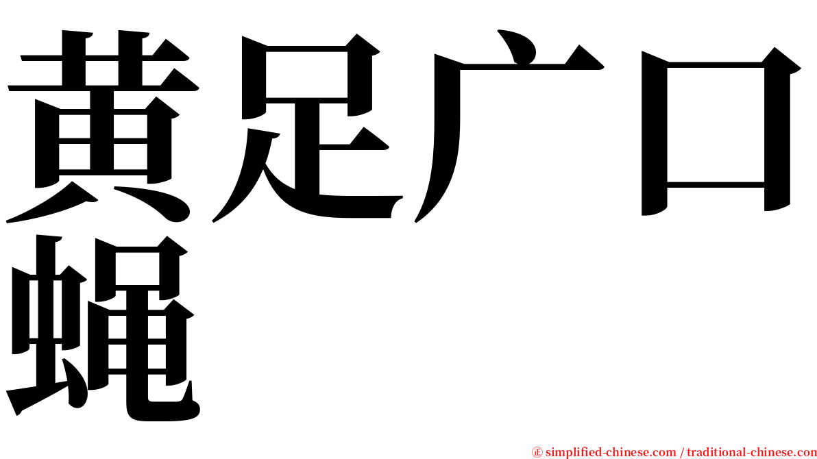 黄足广口蝇 serif font