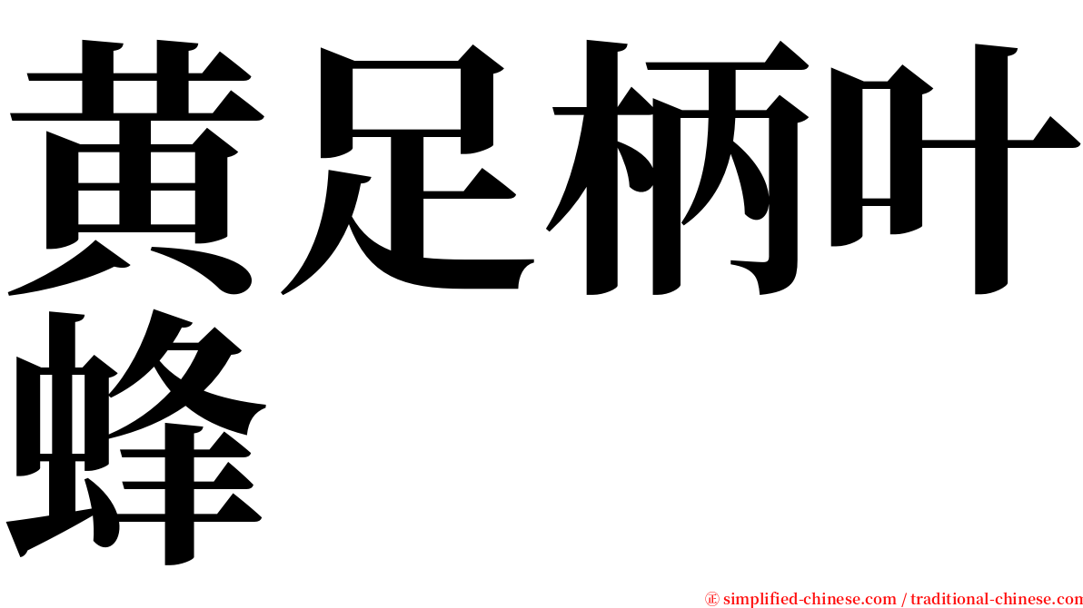 黄足柄叶蜂 serif font