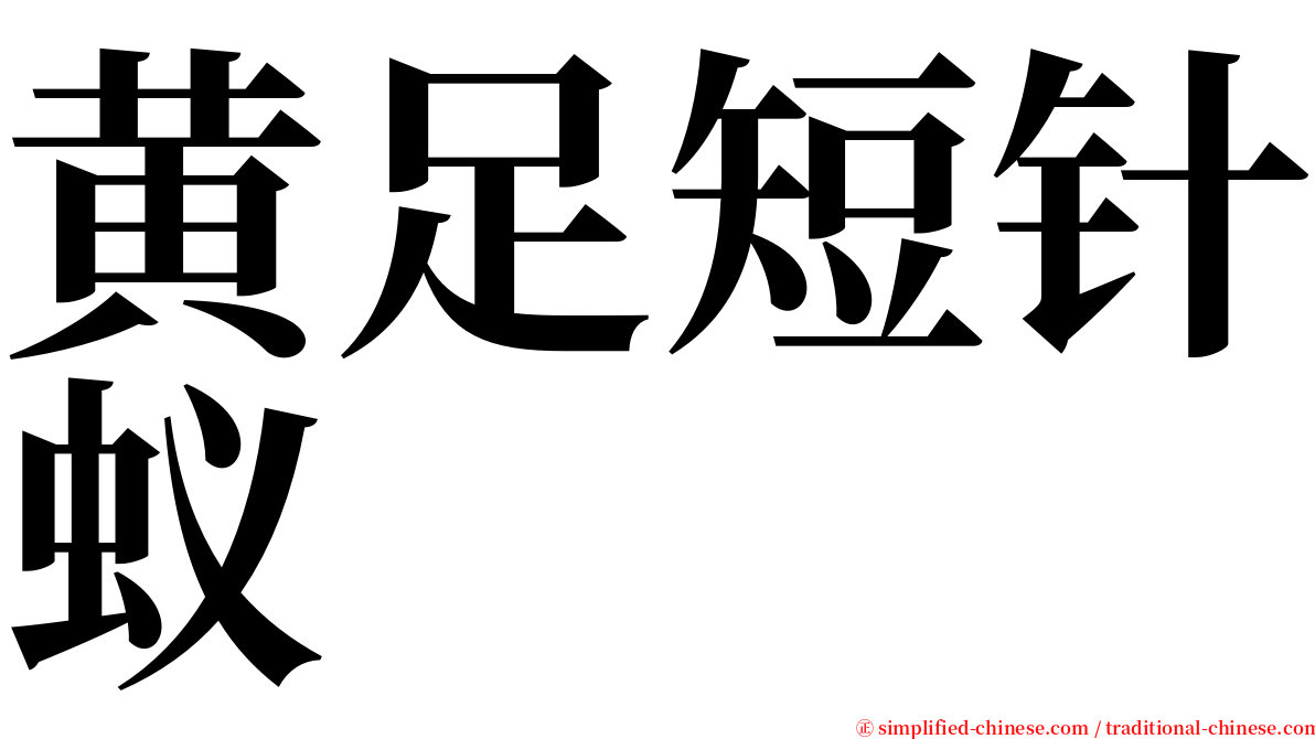 黄足短针蚁 serif font