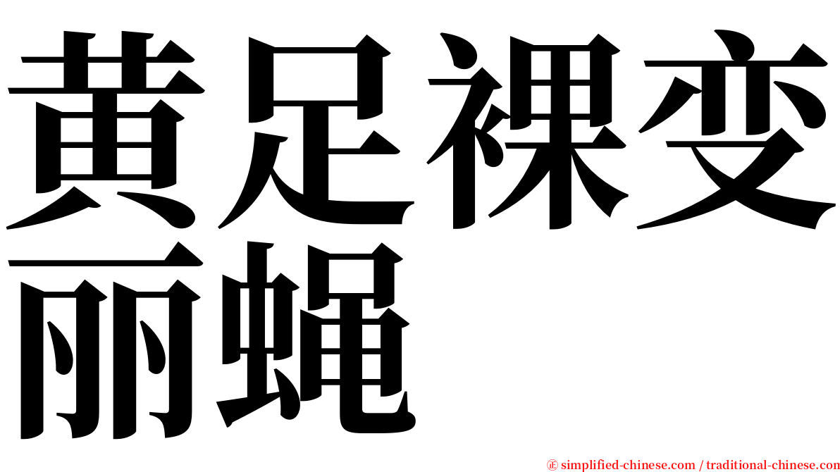 黄足裸变丽蝇 serif font