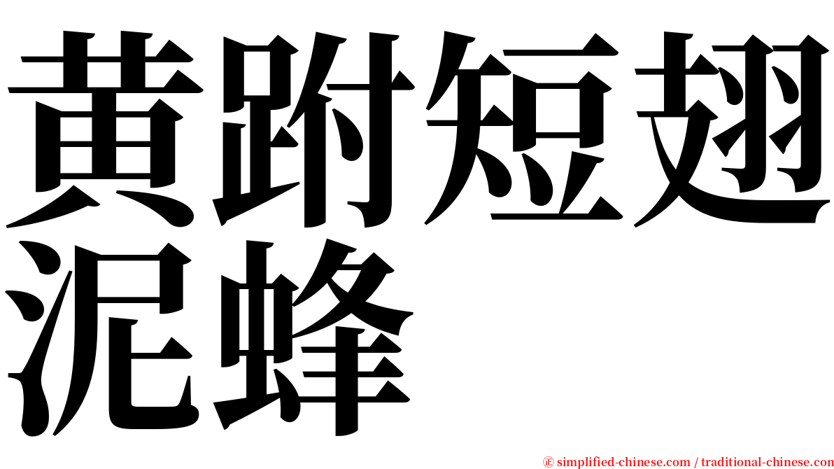 黄跗短翅泥蜂 serif font