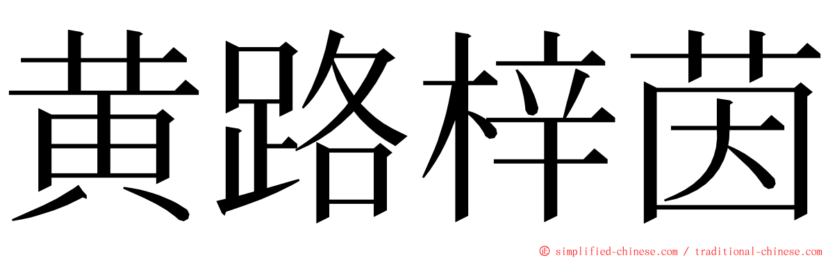 黄路梓茵 ming font