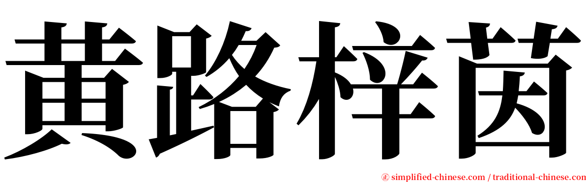 黄路梓茵 serif font