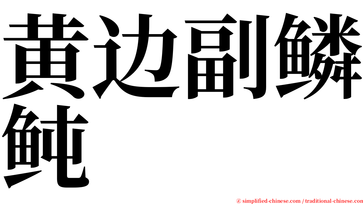 黄边副鳞鲀 serif font