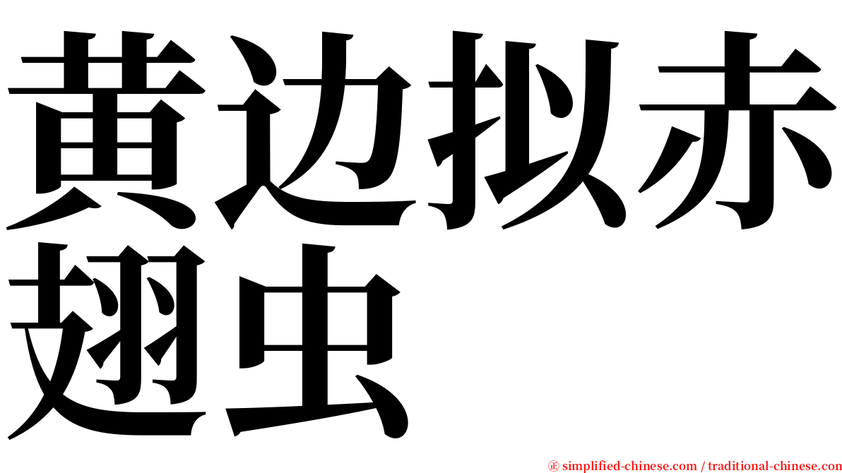 黄边拟赤翅虫 serif font