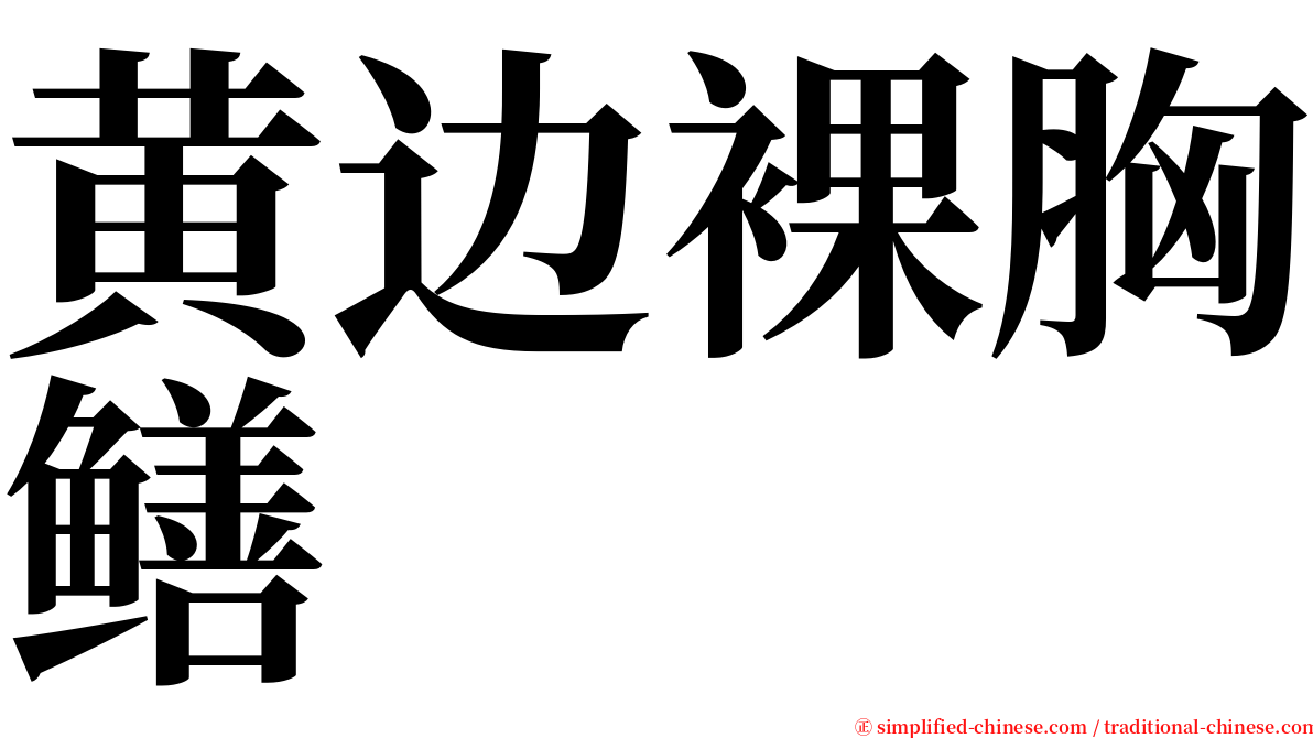 黄边裸胸鳝 serif font