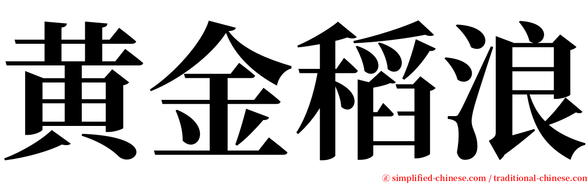 黄金稻浪 serif font