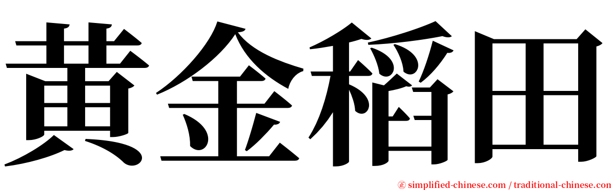 黄金稻田 serif font