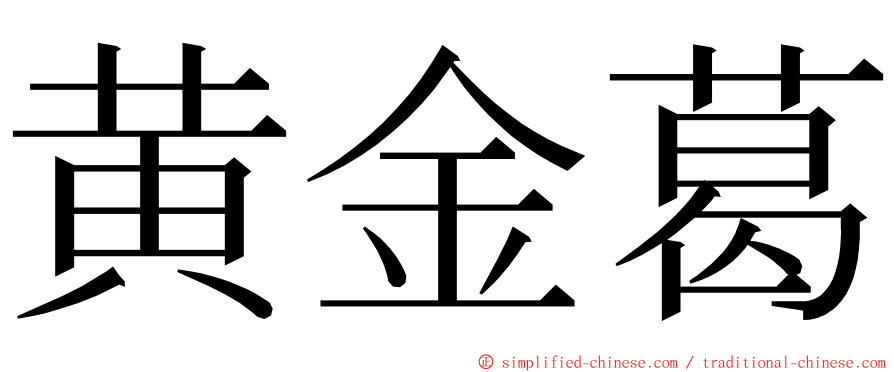 黄金葛 ming font