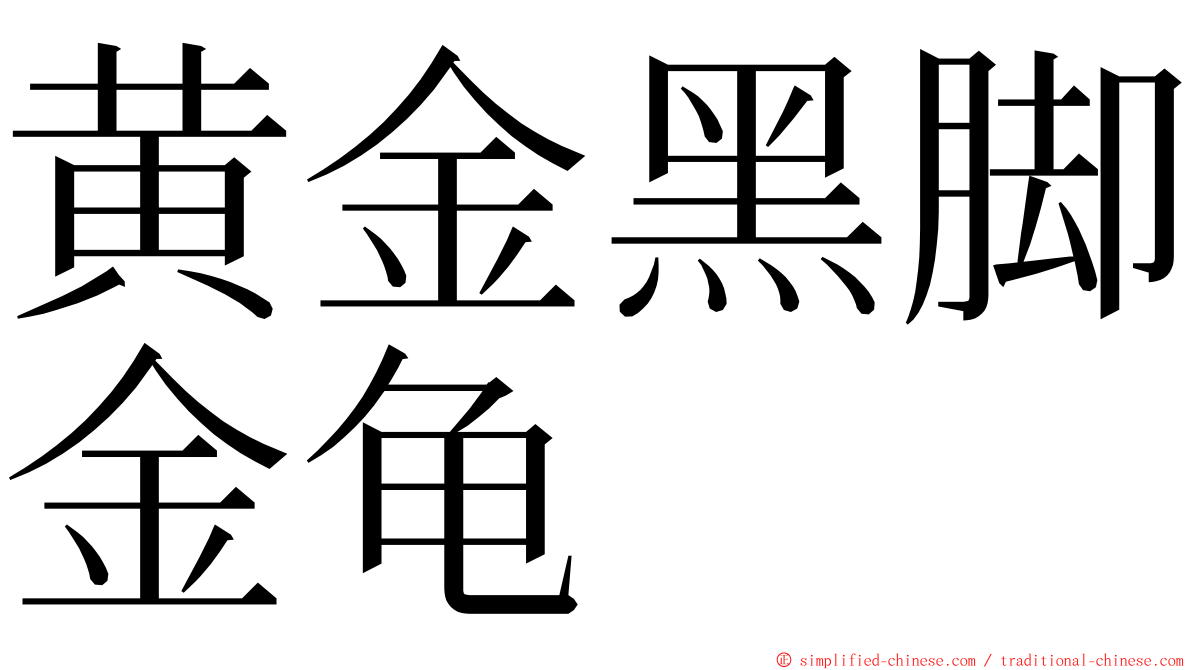 黄金黑脚金龟 ming font