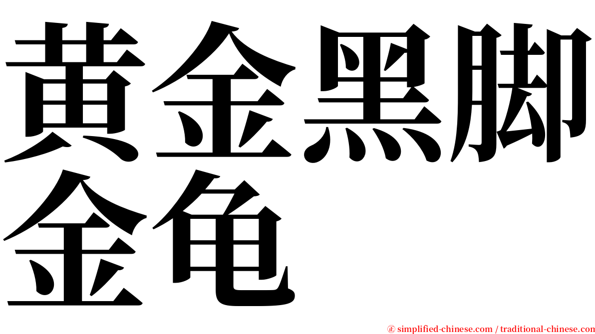 黄金黑脚金龟 serif font