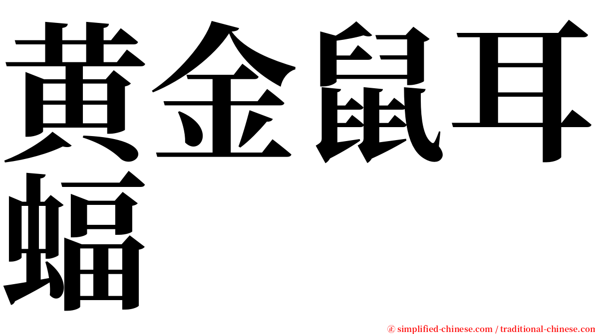 黄金鼠耳蝠 serif font