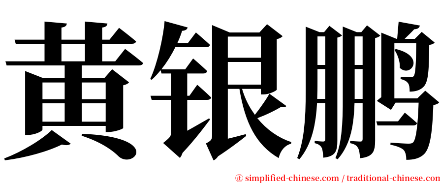 黄银鹏 serif font