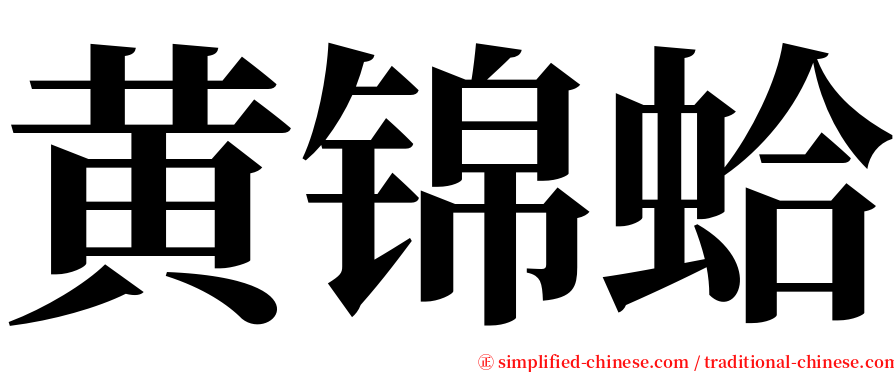 黄锦蛤 serif font