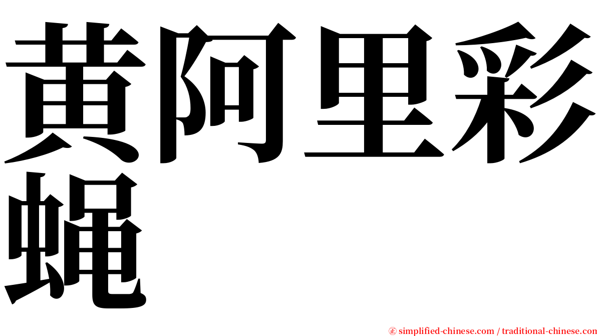 黄阿里彩蝇 serif font