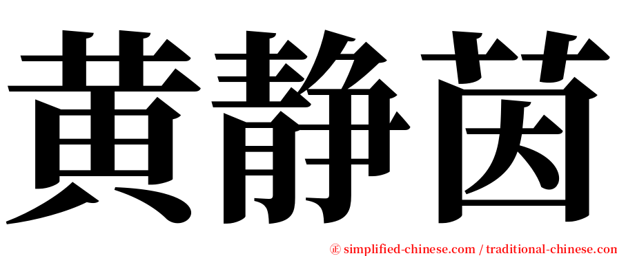 黄静茵 serif font