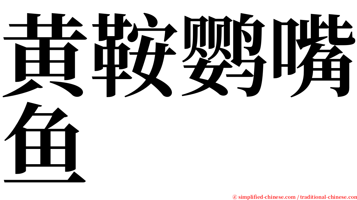 黄鞍鹦嘴鱼 serif font