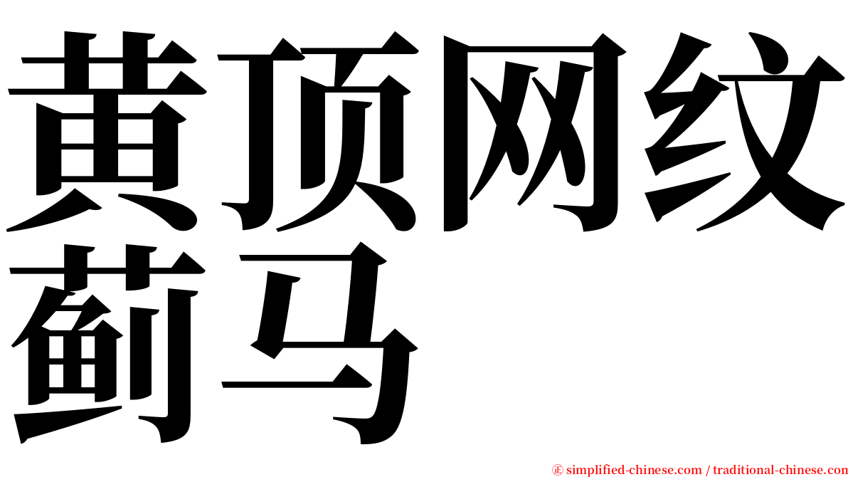 黄顶网纹蓟马 serif font