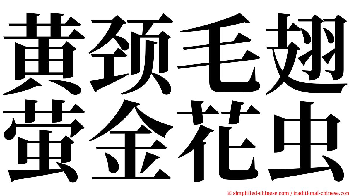 黄颈毛翅萤金花虫 serif font