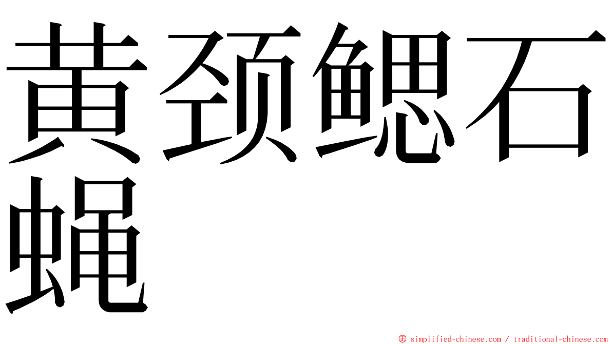 黄颈鳃石蝇 ming font