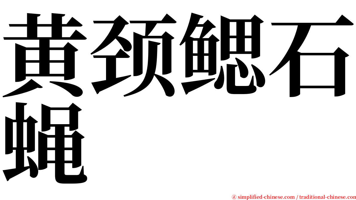 黄颈鳃石蝇 serif font