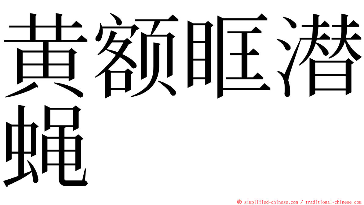 黄额眶潜蝇 ming font