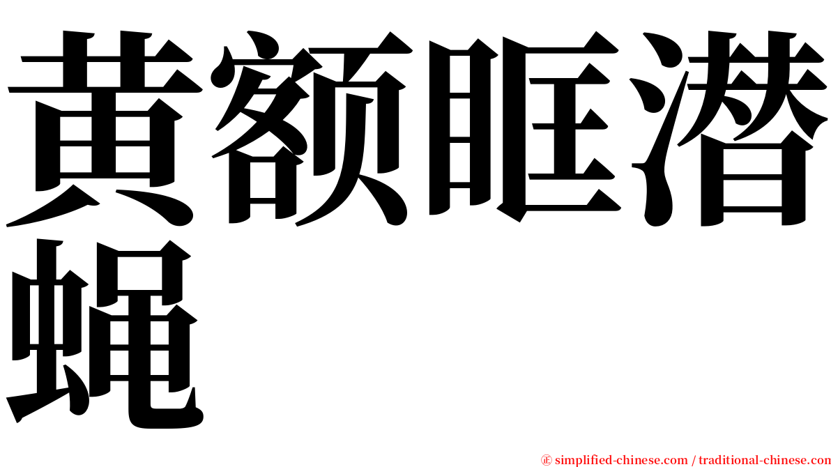 黄额眶潜蝇 serif font