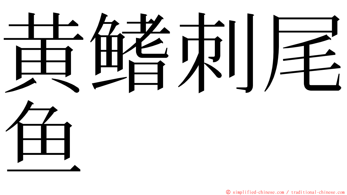 黄鳍刺尾鱼 ming font