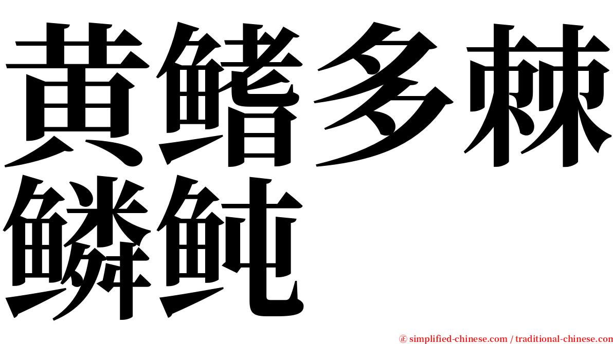 黄鳍多棘鳞鲀 serif font
