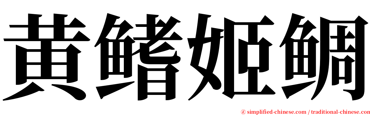 黄鳍姬鲷 serif font