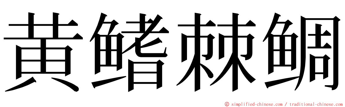 黄鳍棘鲷 ming font