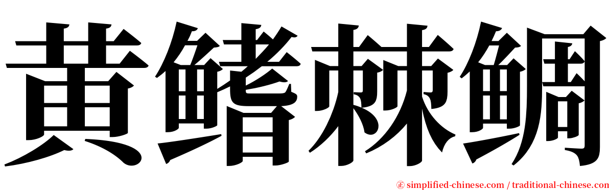 黄鳍棘鲷 serif font