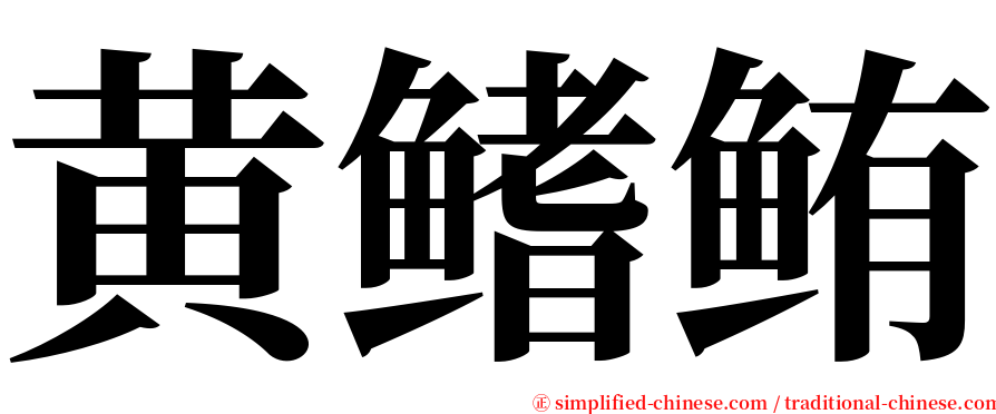 黄鳍鲔 serif font