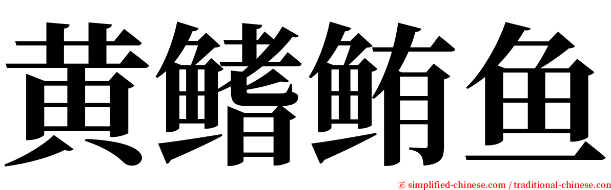 黄鳍鲔鱼 serif font