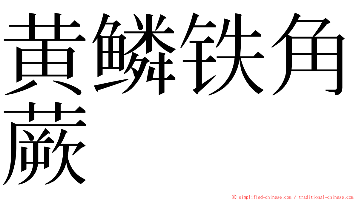 黄鳞铁角蕨 ming font